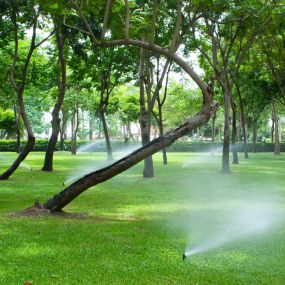 Bild von Homestead Lawn Sprinklers Co Inc