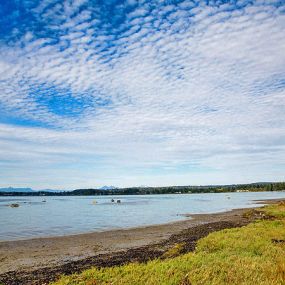 Bild von Thousand Trails Birch Bay