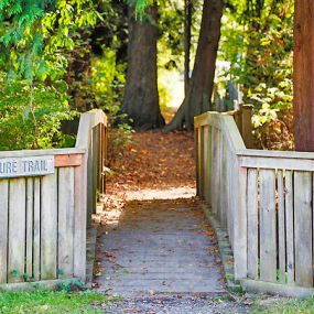 Bild von Thousand Trails Birch Bay