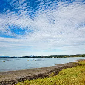 Bild von Thousand Trails Birch Bay