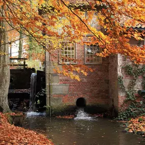 Restaurant Watermolen Bels