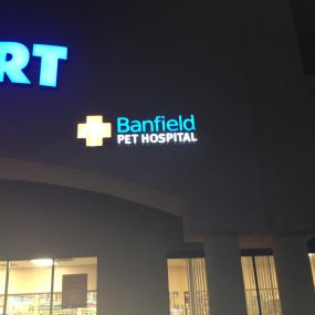 Banfield Pet Hospital - Phoenix