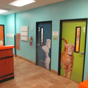 Bild von Banfield Pet Hospital