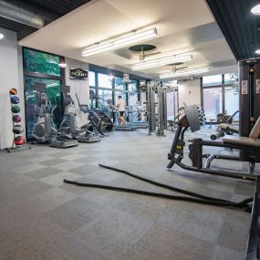 Fitness Center with Free Weights