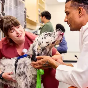 Bild von Banfield Pet Hospital