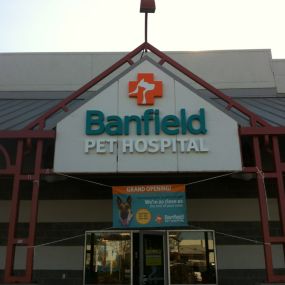 Banfield Pet Hospital - Santa Cruz