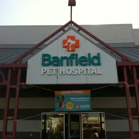 Banfield Pet Hospital - Santa Cruz