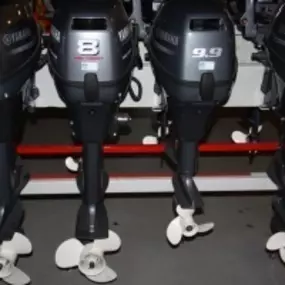 Camping Jachthaven Terra Nautic