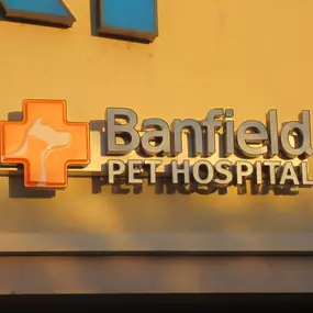 Banfield Pet Hospital - Hurst