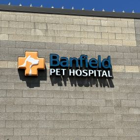 Banfield Pet Hospital® - Puyallup