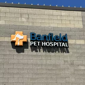 Banfield Pet Hospital® - Puyallup