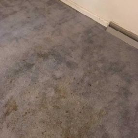 This carpet was ready for a cleaning!