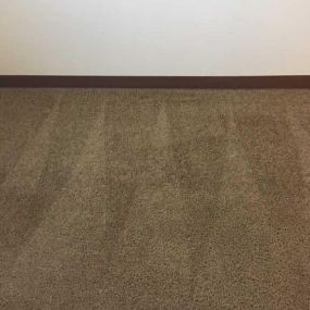 Look at these incredible results of a carpet we finished cleaning.