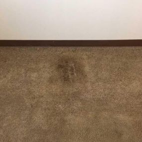 Yikes! Look at this before picture of a carpet we cleaned last week.