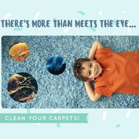 There are a lot of things hiding in your carpet! Dirt, dust mites, and bacteria, to name a few.