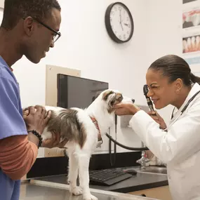 Bild von Banfield Pet Hospital