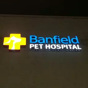 Banfield Pet Hospital® - South Mehlville