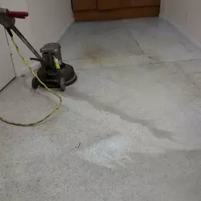 Bild von Tidy Team Cleaning Services