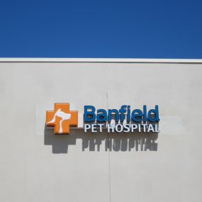 Banfield Pet Hospital® - Las Colinas