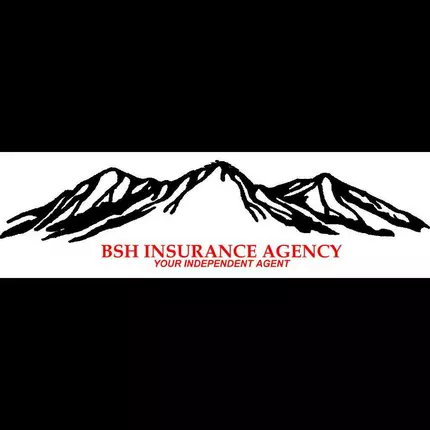 Logotyp från BSH Insurance Agency