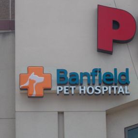 Banfield Pet Hospital® - Brandywine