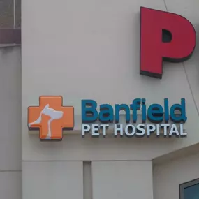 Banfield Pet Hospital® - Brandywine