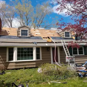 Livonia & Allen Park's top choice for roofing, siding, gutter, door, and window replacement. We're the only call you need to make!  Contact us today for details or to schedule a consultation!