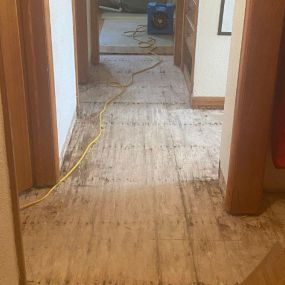 Pictured here is water damage in a Minneapolis main-level hallway