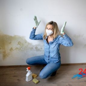 Webster Wisconsin mold mitigation and remediation.
