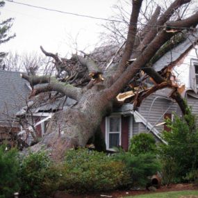Pictured here is Minneapolis water damage caused by wind and storm damage.  As this picture shows, a tree fell on the front of the house and damaged the home’s framing and roof.