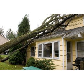 Pictured here is Minneapolis water damage caused by storm and wind damage.  As this picture shows, a tree fell on the front of the house and damaged the roof and gutters.