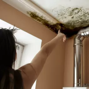 Prevent Winter Mold and Mildew in Your House