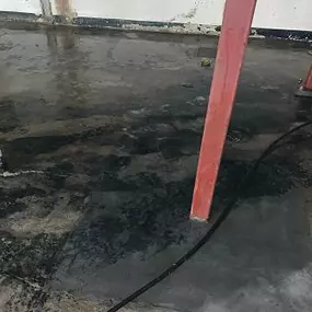 Minneapolis water damage creates black mold in a basement.