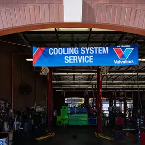 Bild von Tire Discounters