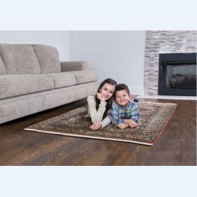 Rugs act as air filters in the home so they need to be cleaned regularly to remove dirt, bacteria, and dust.