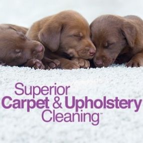 Get superior carpet cleaning by A & B Chem-Dry in Raleigh, North Carolina and the surrounding area!