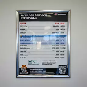 Bild von Tire Discounters
