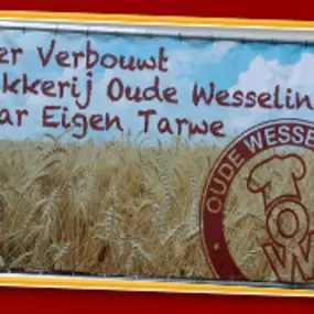 afbeeldingenframe_bewerkt-1.jp