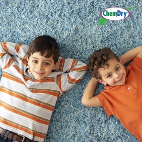 Get your carpets cleaned by Chem-Dry of East Tennessee! Your local carpet cleaning experts!