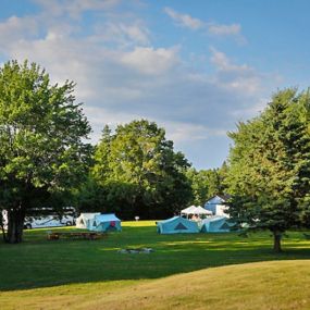 Bild von Mt Desert Narrows Campground