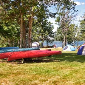 Bild von Mt Desert Narrows Campground