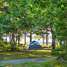 Bild von Mt Desert Narrows Campground