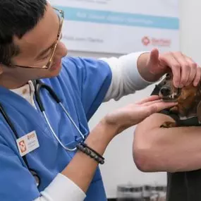 Bild von Banfield Pet Hospital