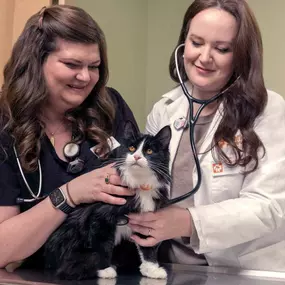 Bild von Banfield Pet Hospital