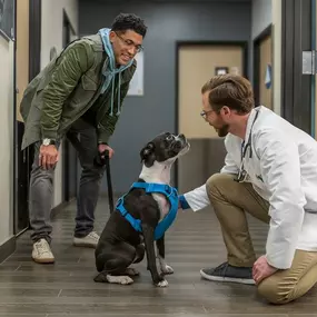 Bild von Banfield Pet Hospital