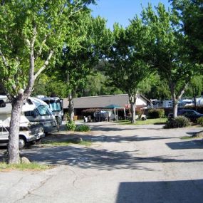 Bild von Santa Cruz Ranch Campground