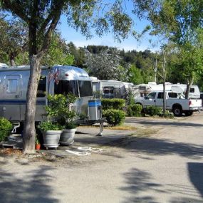 Bild von Santa Cruz Ranch Campground