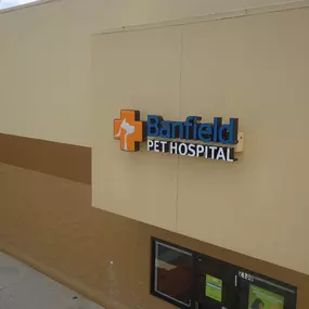 Banfield Pet Hospital® - Chattanooga