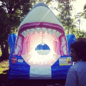 Shark Water Slide rentals in Houston, Texas & surrounding areas