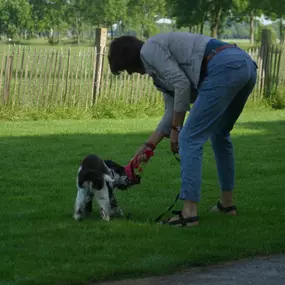 spelen met je hond